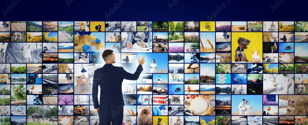 Our Gallery